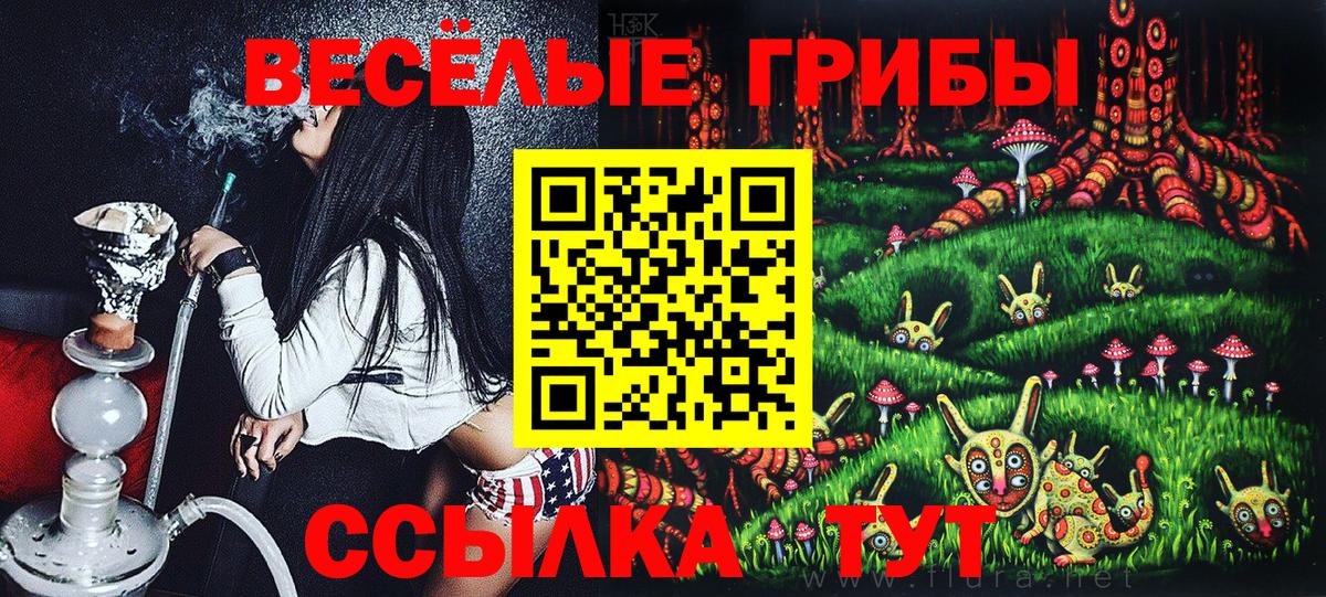 Псилоцибиновые грибы Cubensis  Вход с VPN  Каменск-Шахтинский 