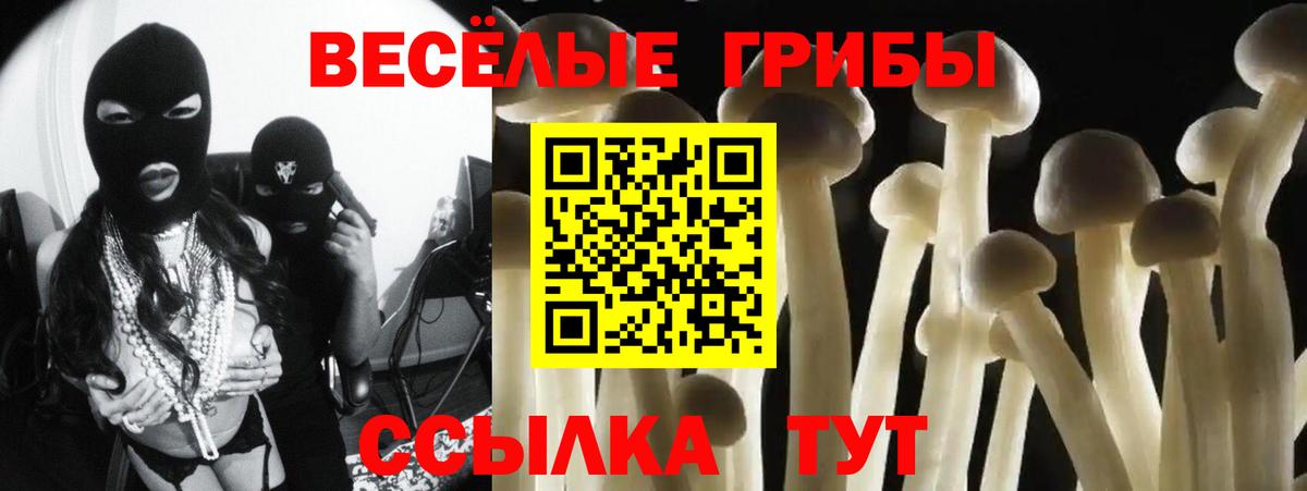 Галлюциногенные грибы MAGIC MUSHROOMS Каменск-Шахтинский